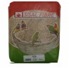 Jute
