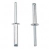 Rivet long 4.8 x 25 mm boite de 250