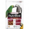 NutriBird P15 Tropical 1 kg