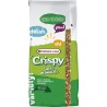 Crispy Snack Popcorn 10 kg