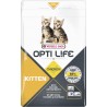 Kitten 2,5 kg