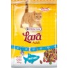 Adult Au Saumon 2 kg