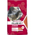 Junior Plus I.C.+ 20 kg