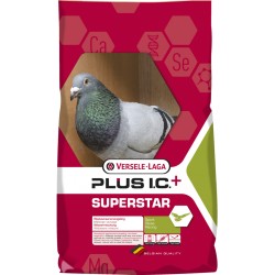 Superstar Plus I.C.+ 20kg