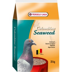 Colombine Seaweed