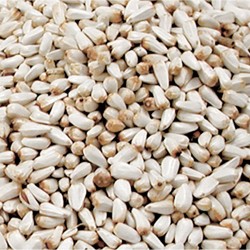 Cardi ou graines de carthame 5 kg