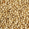 Graines de Dari blanc 25 kg