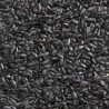 Tournesols Noirs 15 kg