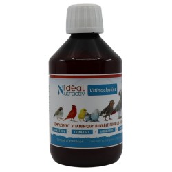 Vitinocholine Liquide 250ml - Idéal Nutricare