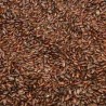 GRAINES DE PLANTAIN 1 KG