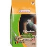 Colombine Sneaky Mixture 20 kg