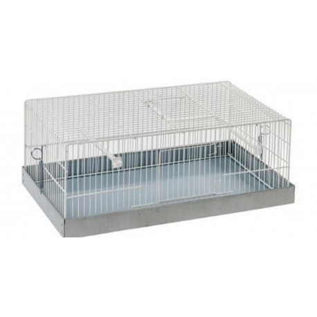 Caisse De Transport Oiseaux Cages Passion